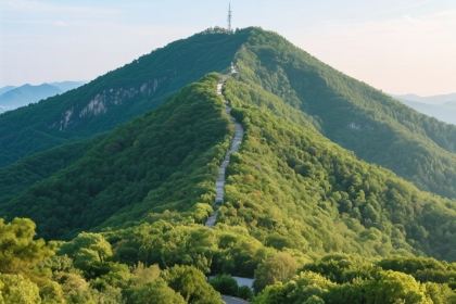 Laohu Local Restaurant