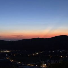 半两·咖啡书店·浮生是杯酒 User Photo