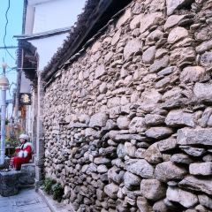 September DaLi User Photo