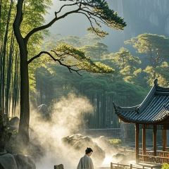 秀嫂挞粿 User Photo