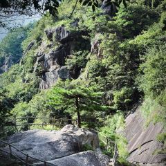 Jixixiannongjiayinxiang Farm Family Resort User Photo