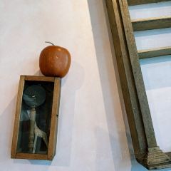 Dacomecca張用戶圖片