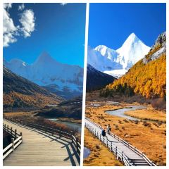 Bawa Tibetan Food User Photo