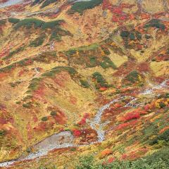 立山黑部 여행 사진