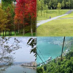 陈妈餐馆·宜昌肥鱼地方本土菜馆 User Photo