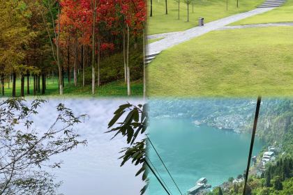 陈妈餐馆·宜昌肥鱼地方本土菜馆