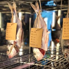 CRANE PALACE User Photo