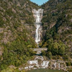 Run Fenghe Beef Offal User Photo