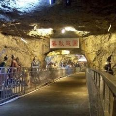 王阿姨梅花糕 User Photo