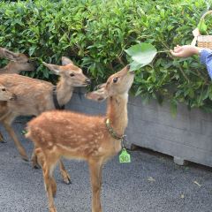 遂宁首座万豪酒店·大堂吧 User Photo