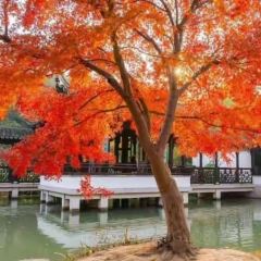 SU WAI PO User Photo