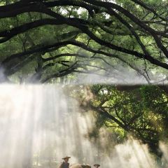 XIN JIN CHENG User Photo