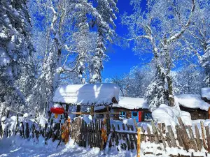 xue xiang wu song shi li bing xue hua lang