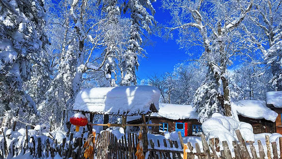 xue xiang wu song shi li bing xue hua lang