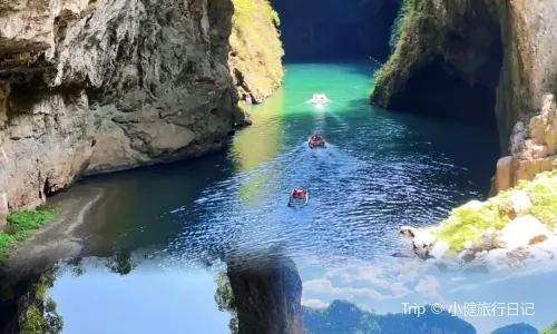 王記六龍豆乾火鍋