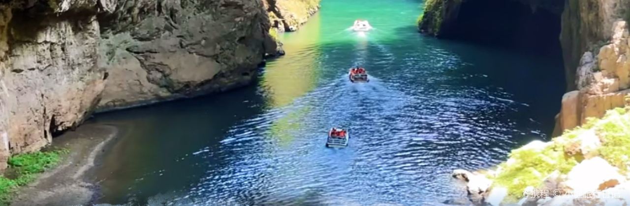 WANG FAMILY GOLD MEDAL DRIED TOFU HOT POT