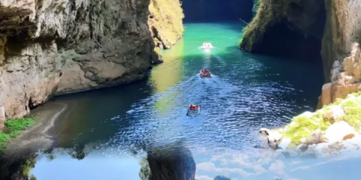 王記六龍豆乾火鍋