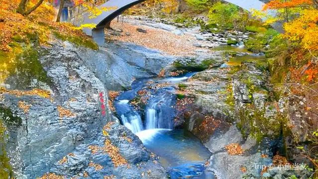 Tanggou Hot Spring Resort