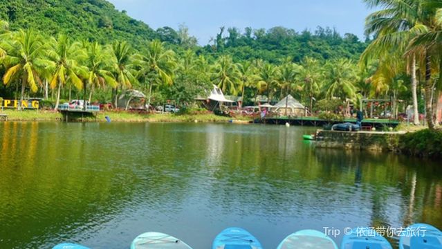 Xiaoyangqiao Coconut Grove Secret Tent Campground