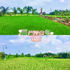 Bebek Joni Restaurant User Photo