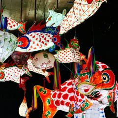 府衙老爷咖啡 User Photo