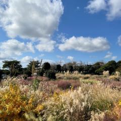 Manor Blanc User Photo