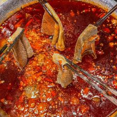 陈鸭肠老火锅(九街店) User Photo