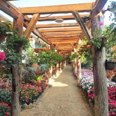 912张宜花园餐厅 User Photo
