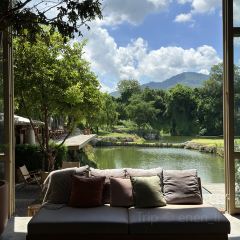 Serene House Cafe User Photo