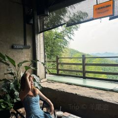 BAN DAO User Photo