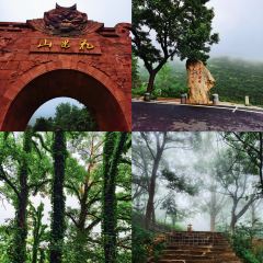 Hong ming hai xian guan369 User Photo