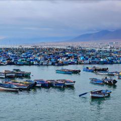 Laoyujiatesehaiweiguan User Photo