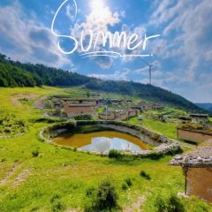 黑水冰川逸景酒店·川香豆腐鱼 User Photo