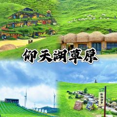 CHEN DA CHU baisha specialty restaurant User Photo