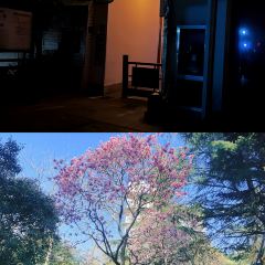曼居酒店(昆山花桥店)·西餐厅 여행 사진