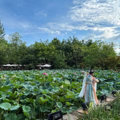 玛歌庄园·白鹤湖火锅公园(武胜店) User Photo