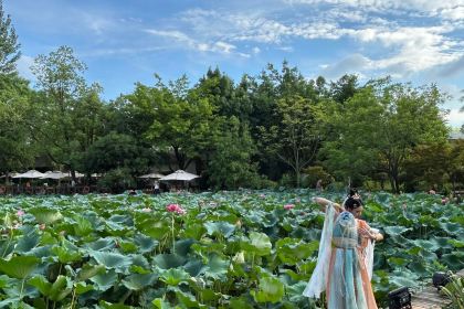 玛歌庄园·白鹤湖火锅公园(武胜店)