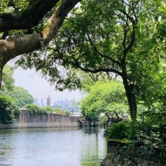 無錫魯能萬豪飯店·萬豪中餐廳張用戶圖片