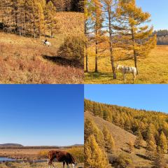 Manda Sheng Yuan Xiang chafing  dish User Photo