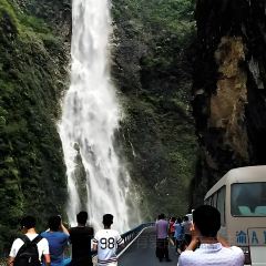 李氏下饭菜纸包鱼·私房菜 User Photo