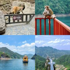 憨哥鱼庄·宜昌肥鱼·始于1999(东郡店) User Photo