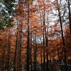 Lanes Restaurant User Photo