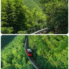 YU YAN LOU User Photo