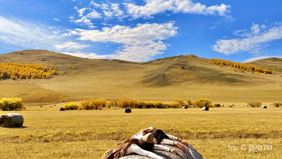Da Hinggan Ling Hanma Nature Reserve