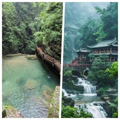 TU ZAO REN JIA CHAIHUO CHICKEN User Photo