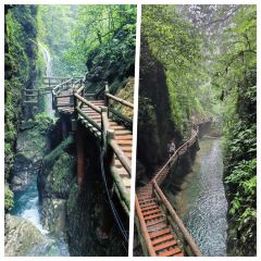 TU ZAO REN JIA CHAIHUO CHICKEN User Photo