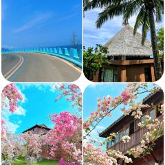 GRANDMA HU HAINAN FOOD STALL User Photo