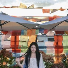 屋顶咖啡·日落甜茶·雪山花园 ·bistro User Photo