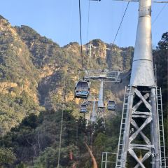 偏愛炒雞店(淘你歡店)張用戶圖片