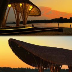 GOLD GARDEN User Photo